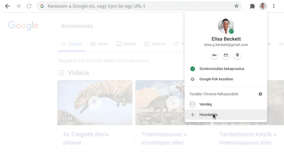 A Chrome-ablakban a megnyitott Profil párbeszédpanel látható.