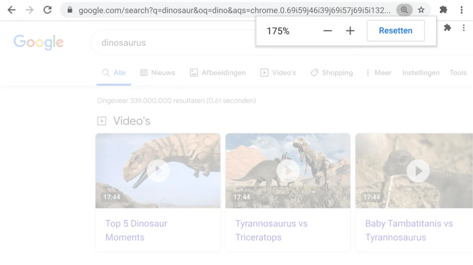 Chrome-browservenster met een webpagina waarop de zoomfunctie actief is.