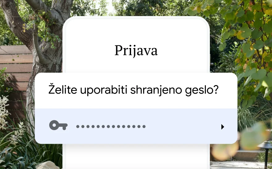 Stran za prijavo za rezervacijo potovanja pozove k uporabi shranjenega gesla. V ozadju je prizor iz narave.